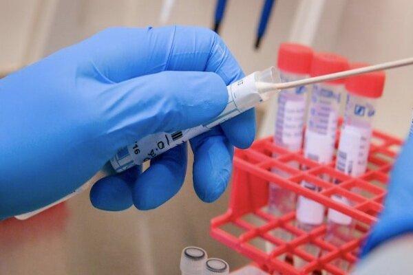 آلمانی های بیشتری کرونایی شدند آلمانی های بیشتری کرونایی شدند