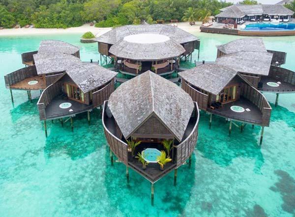 معرفی هتل ساحلی لیلی مالدیو ، Lily Beach Resort &ampamp Spa Maldives معرفی هتل ساحلی لیلی مالدیو ، Lily Beach Resort &amp Spa Maldives
